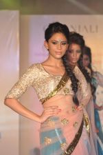 Model walks for Manali Jagtap Show at Global Magazine- Sultan Ahmed tribute fashion show on 15th Aug 2012 (215).JPG